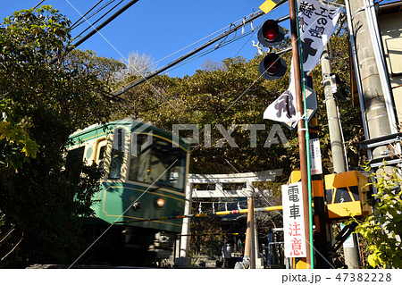 江ノ電と御霊神社　鎌倉　権五郎神社 47382228