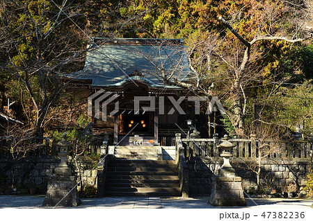 御霊神社 鎌倉 権五郎神社 御霊神社 鎌倉 権五郎神社 47382236