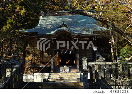 御霊神社　鎌倉　権五郎神社 47382238
