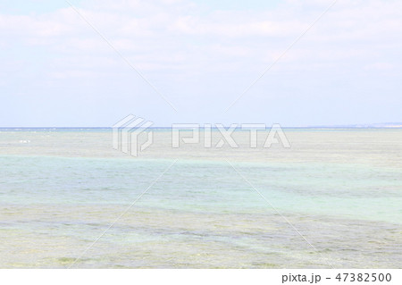 沖縄の珊瑚礁③ 47382500