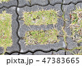 コンクリートタイルから生える芝生 47383665