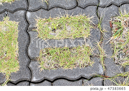 コンクリートタイルから生える芝生 47383665