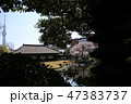 伝法院 47383737