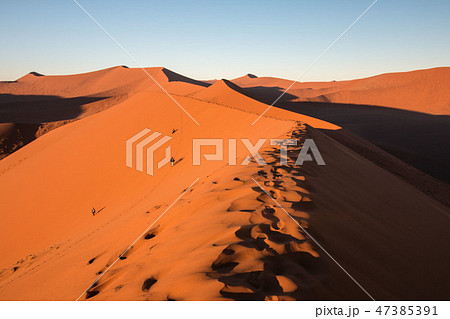 ナミビア　ナミブ砂漠　Dune45の夜明け 47385391