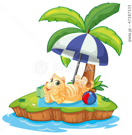 A cat relax on the island 47387335