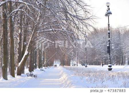 Park alley at winter. Park alley at winter. 47387883