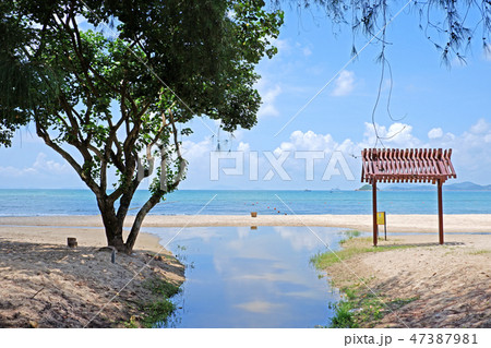 beach, coastline, tree, sky, cloud with reflection 47387981