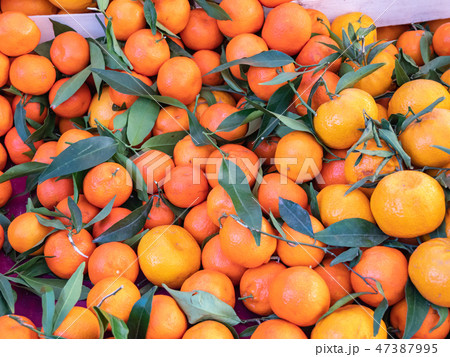 イタリア ジェノバ オレンジ 47387995