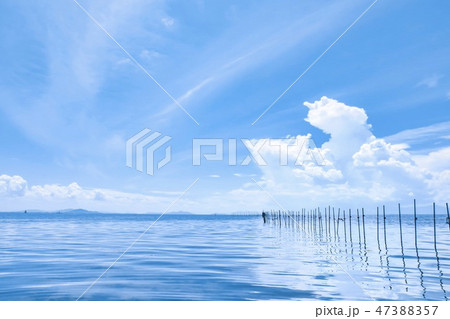 夏！！ 47388357