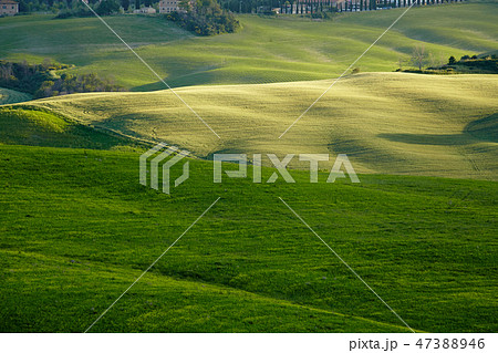 Spring Tuscany hills and meadows in Italy 47388946