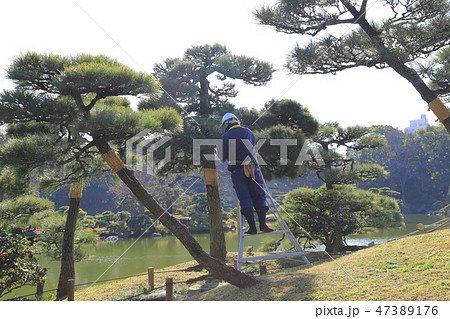 植木を管理する職人 47389176