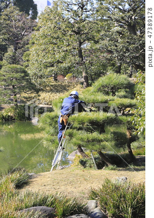 植木を管理する職人 47389178