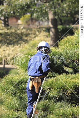 植木を管理する職人 47389181