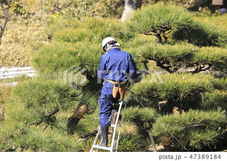 植木を管理する職人 47389184