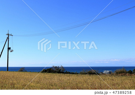伊尾木洞の帰り道(高知県安芸市) 伊尾木洞の帰り道(高知県安芸市) 47389258