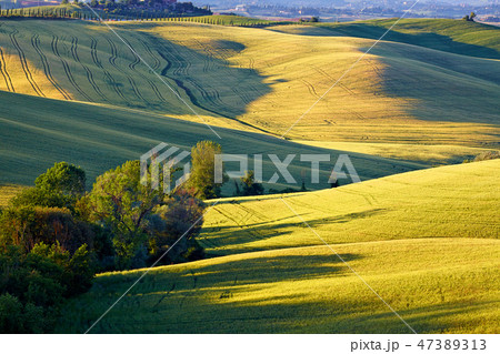 Countryside, San Quirico d`Orcia , Tuscany, Italy 47389313