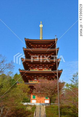 成相寺　五重塔 47390029