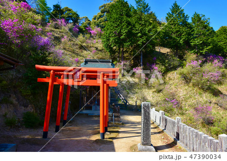 獅子崎稲荷神社 獅子崎稲荷神社 47390034