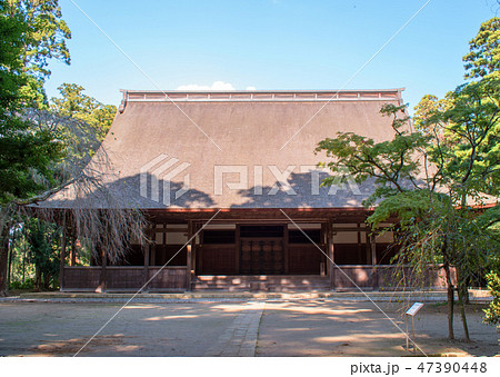 青空と檀林講堂跡 47390448