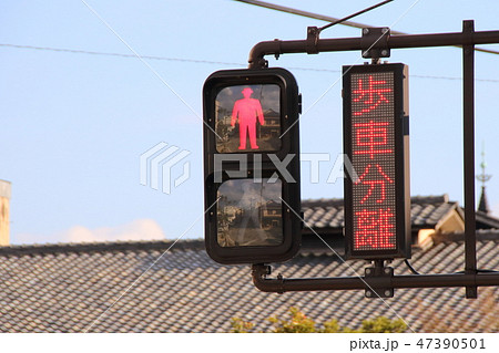 併設された表示器に「歩車分離」と表示された歩行者用信号機。 47390501