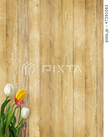 背景 壁 板 木目 茶 チューリップ 春のイラスト素材