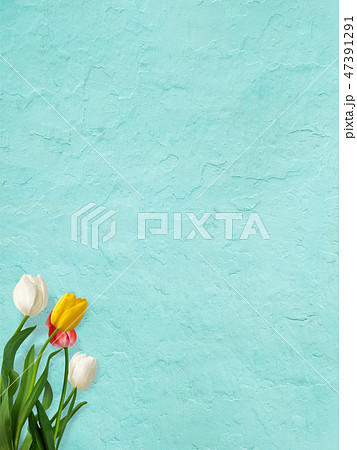 背景 壁 春 ブルー チューリップのイラスト素材
