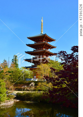 成相寺 五重塔 成相寺 五重塔 47391526