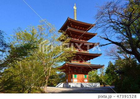 成相寺　五重塔 47391528