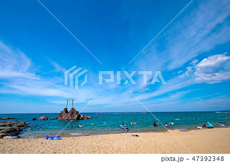 ハワイ海水浴場 47392348