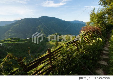 Longsheng rice terraces landscape in China 47392990