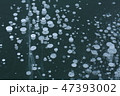 アイスバブル 47393002