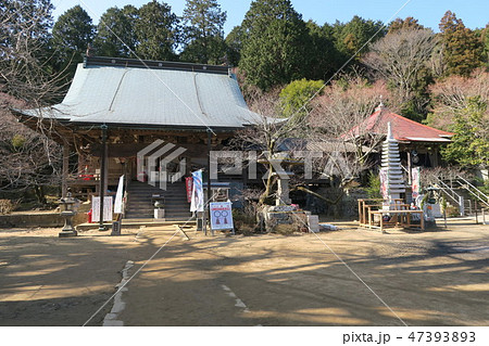 【四国三十六不動霊場】【四国別格二十霊場】第一番　大山寺の冬晴れの境内　徳島県板野郡上板町 47393893