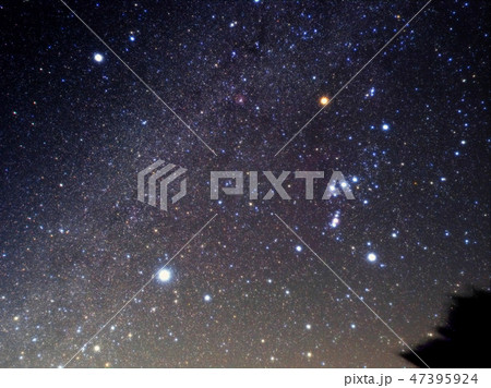 冬の大三角形 47395924