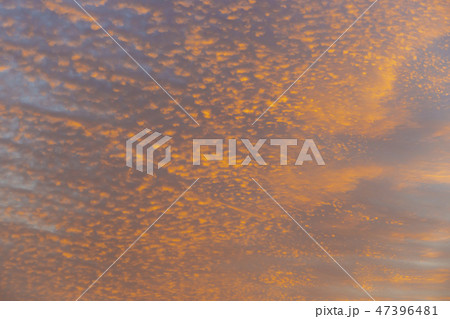 自然 風景 屋外 47396481