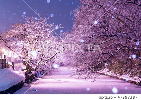 弘前城　冬のライトアップ 47397387