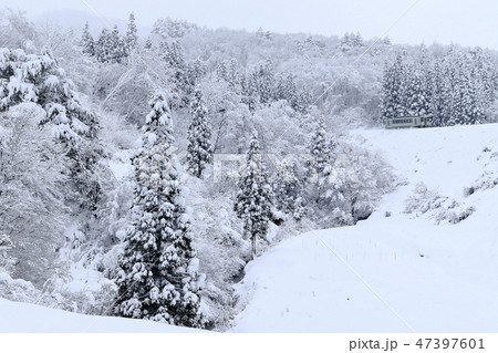 雪景色の米坂線 47397601
