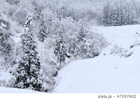 雪景色の米坂線 47397602