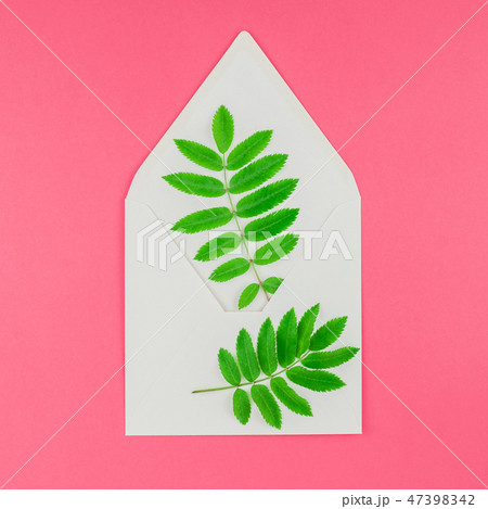 White letter mock up with fresh green leaves 47398342