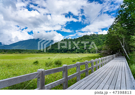 栃木県日光市 奥日光 小田代原 男体山 (8月) 栃木県日光市 奥日光 小田代原 男体山 (8月) 47398813