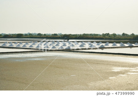 Salt Field in Samut Sakhon province, Thailand 47399990