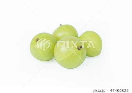 Indian gooseberry or Amla (Phyllanthus emblica) 47400322