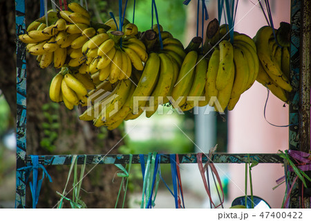 banana banana 47400422