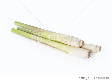 Lemon grass isolated on white  47400636