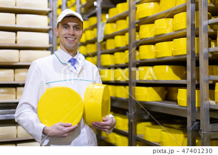 man holding a head of cheese at a dairy plant man holding a head of cheese at a dairy plant 47401230
