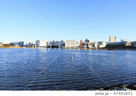 大森ふるさとの浜辺公園 47401651