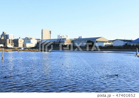 大森ふるさとの浜辺公園 大森ふるさとの浜辺公園 47401652