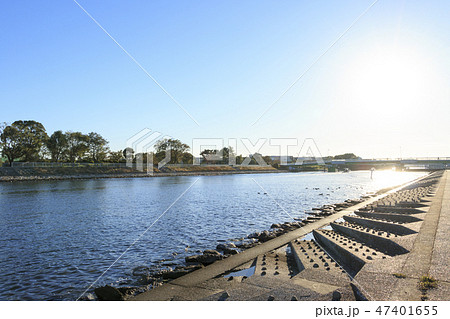 大森ふるさとの浜辺公園 47401655