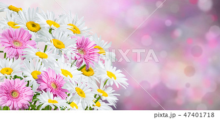 Background with Fragrant Flowers 47401718