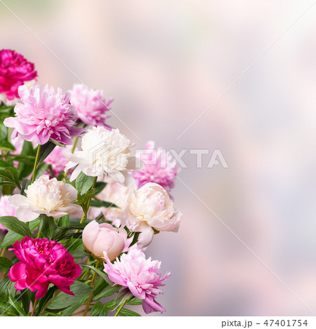 Amazing floral background 47401754