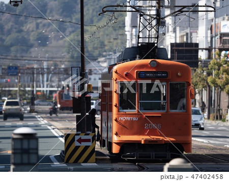 松山市 路面電車の風景 47402458